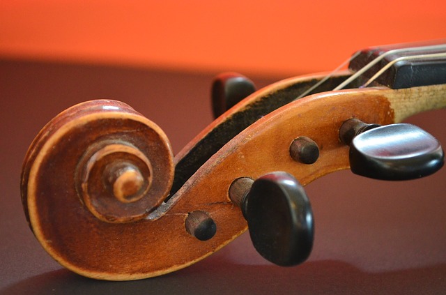 Violin